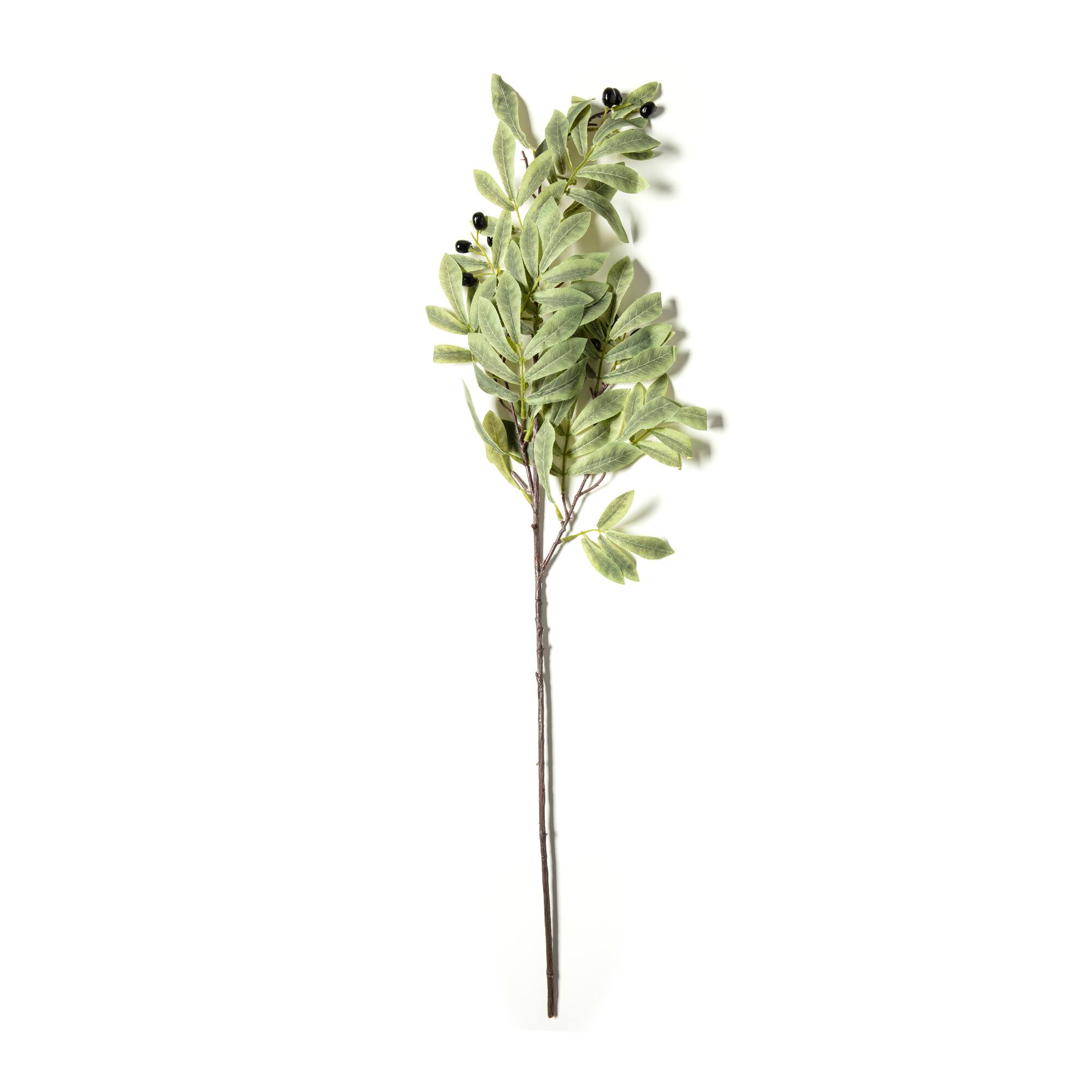 12 Pack: Olive Branch Spray by Ashland®